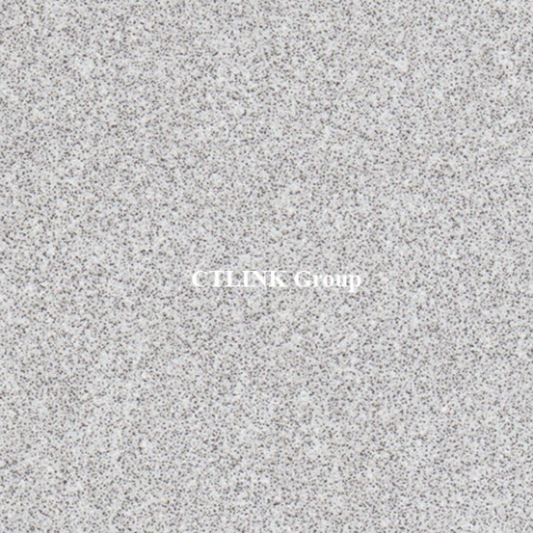 Sàn nâng kỹ thuật khuôn thép lõi xi măng mặt phủ HPL chống tĩnh điện Anti Static